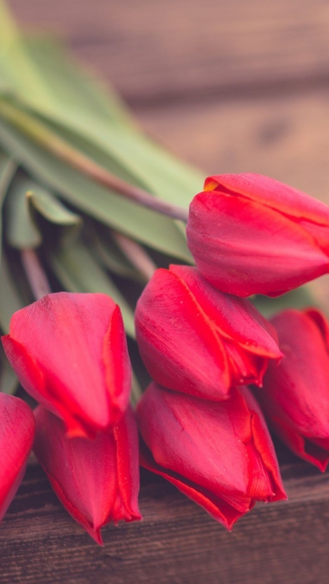 Red Tulip Bouquet On Wooden Bench screenshot #1 640x1136