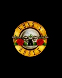 Screenshot №1 pro téma Guns N Roses 128x160