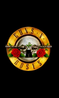 Das Guns N Roses Wallpaper 240x400