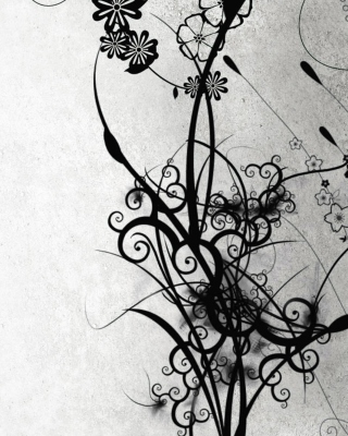 Monochrome Art - Fondos de pantalla gratis para Nokia C2-01