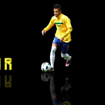 Das Neymar Brazilian Professional Footballer Wallpaper 208x208
