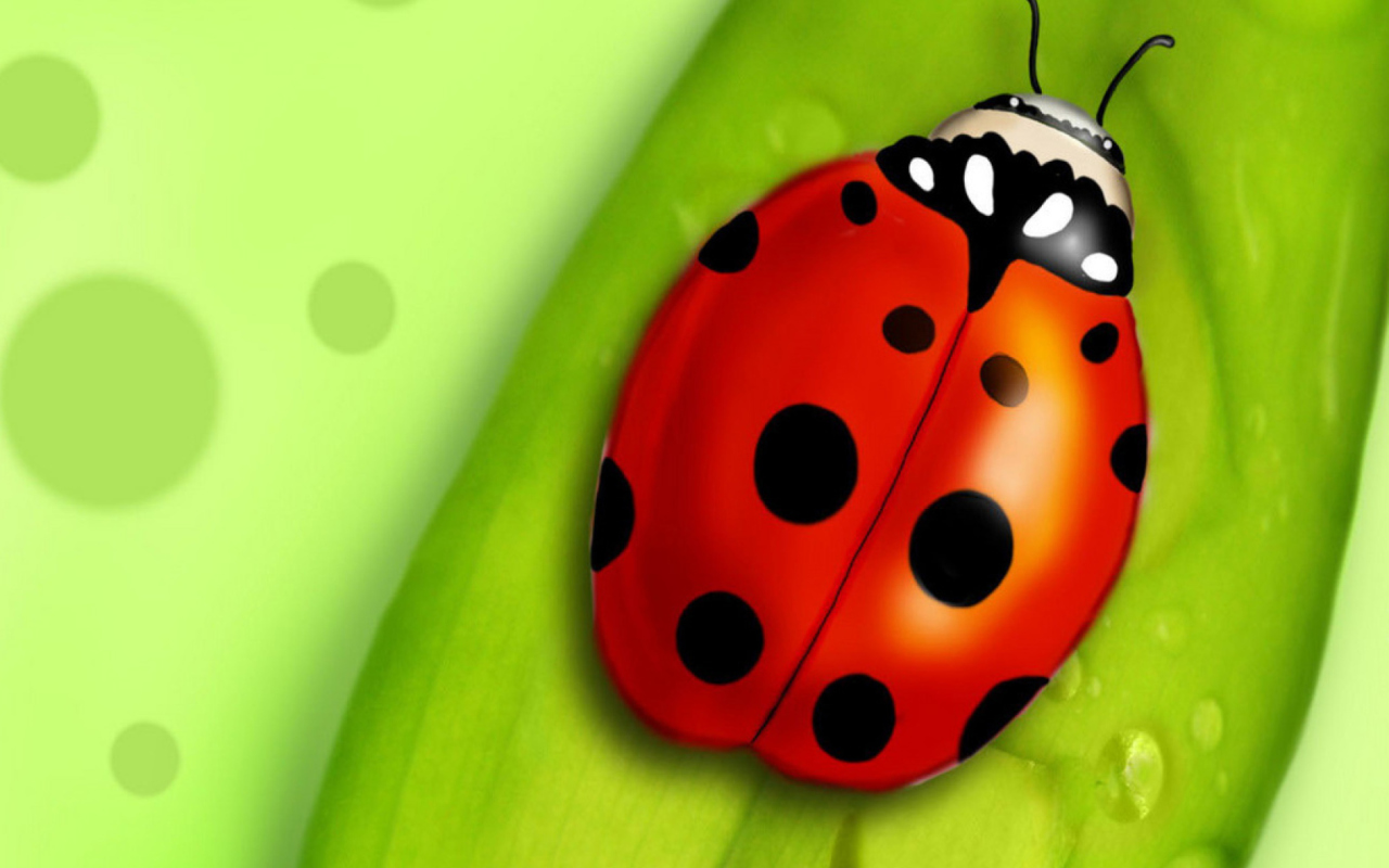 Screenshot №1 pro téma Ladybug 1280x800