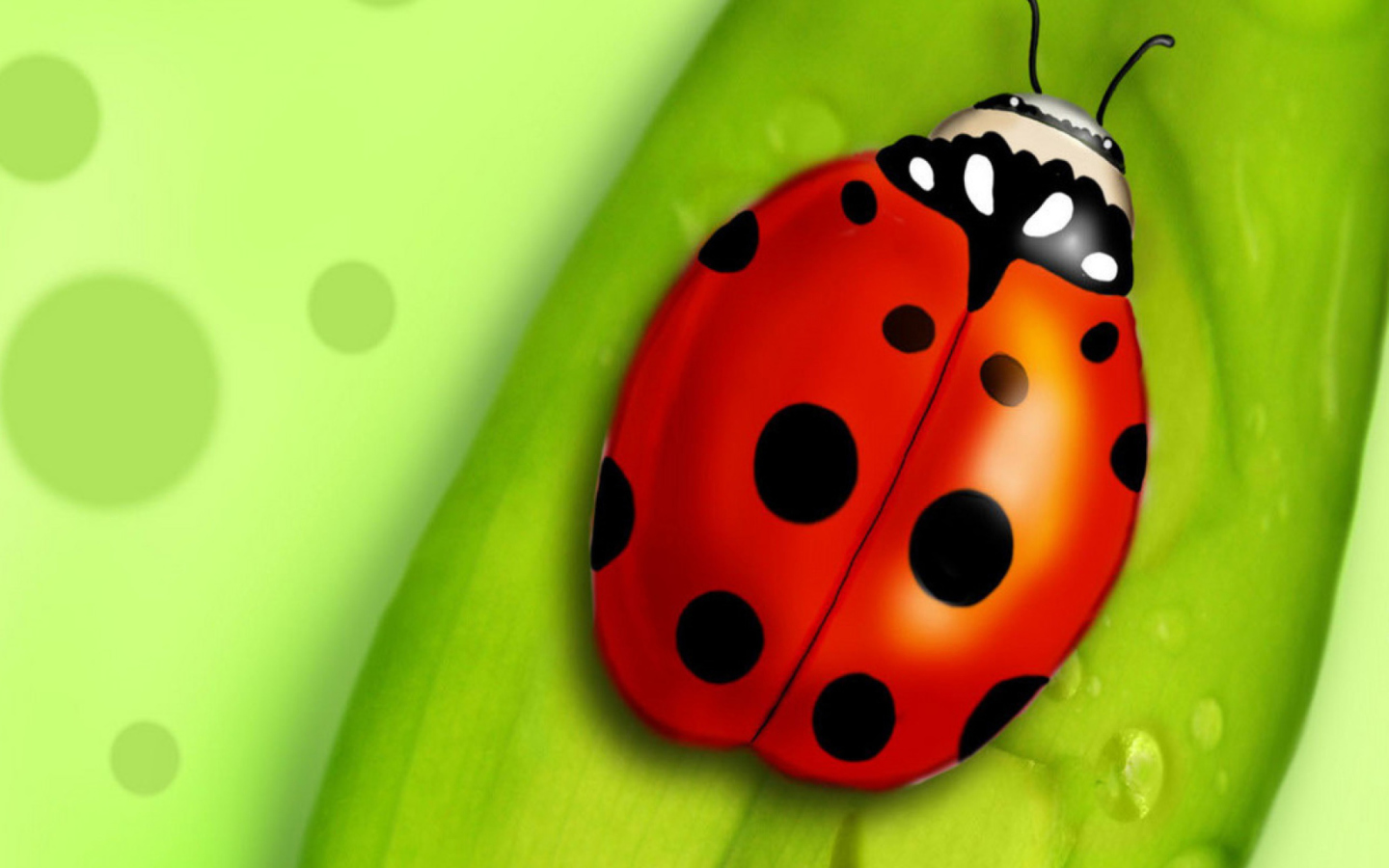 Screenshot №1 pro téma Ladybug 1440x900