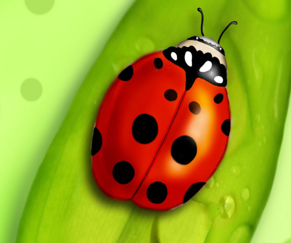 Screenshot №1 pro téma Ladybug 960x800