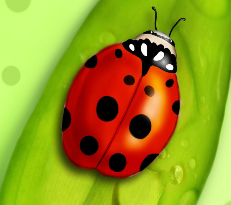 Screenshot №1 pro téma Ladybug 960x854