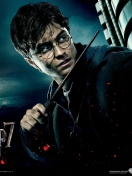 Harry Potter And Deathly Hallows wallpaper 132x176