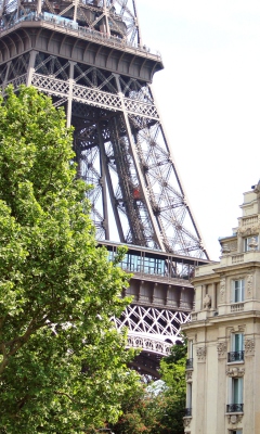 Paris, France, La Tour Eiffel wallpaper 240x400