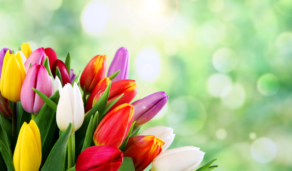 Screenshot №1 pro téma Bouquet of colorful tulips 1024x600