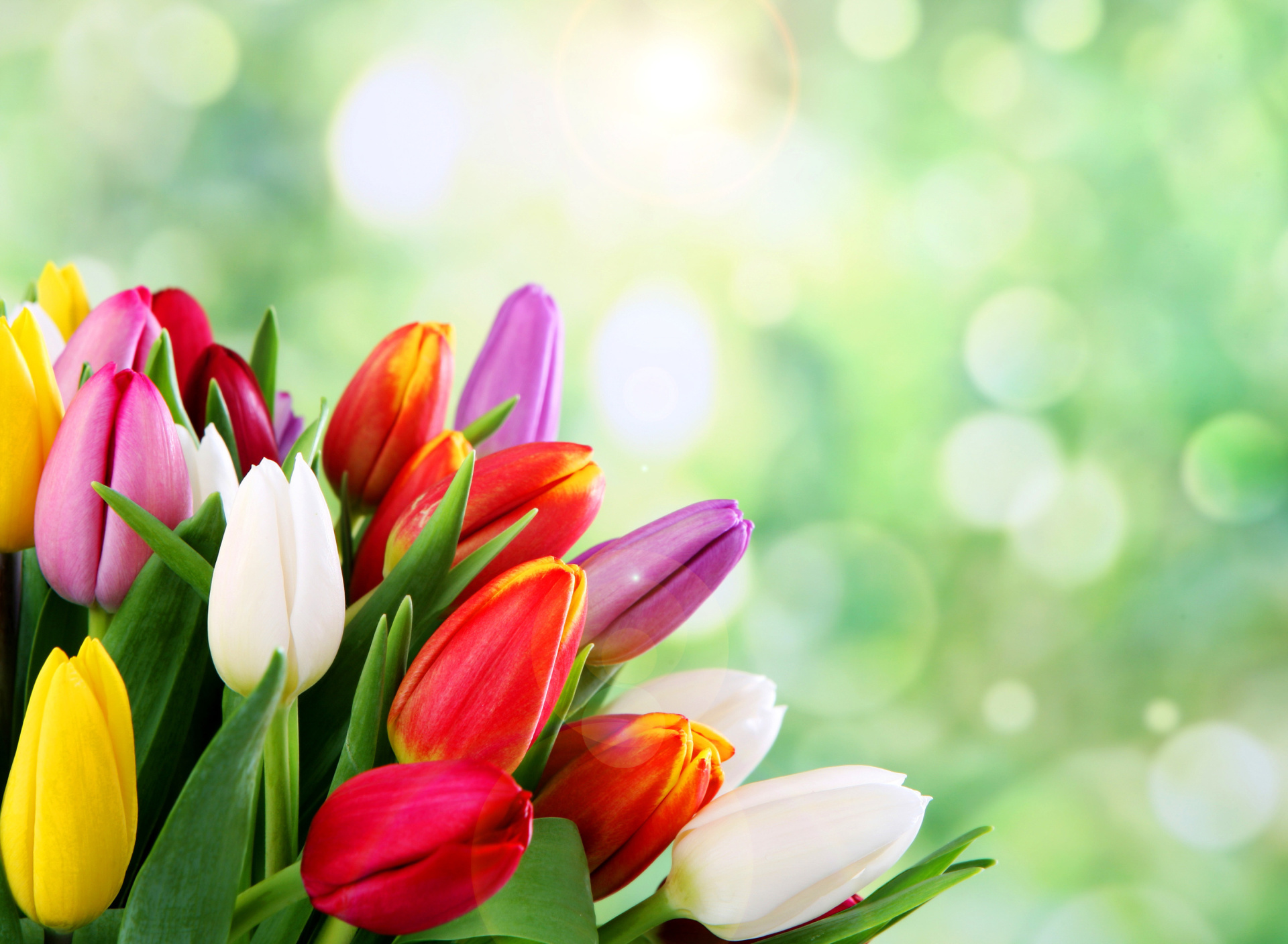 Обои Bouquet of colorful tulips 1920x1408