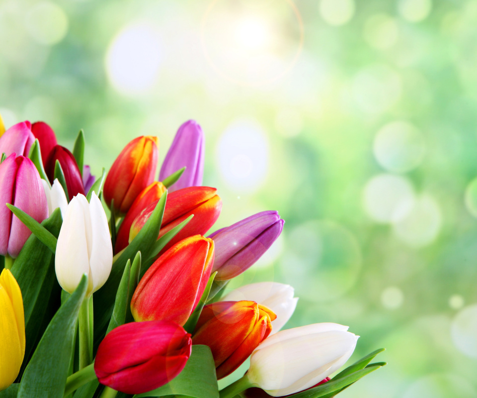 Das Bouquet of colorful tulips Wallpaper 960x800