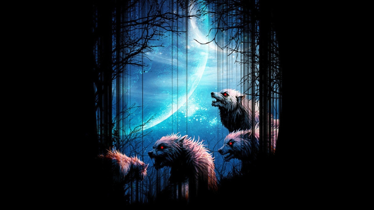 Das Wolverines At Night Wallpaper 1280x720