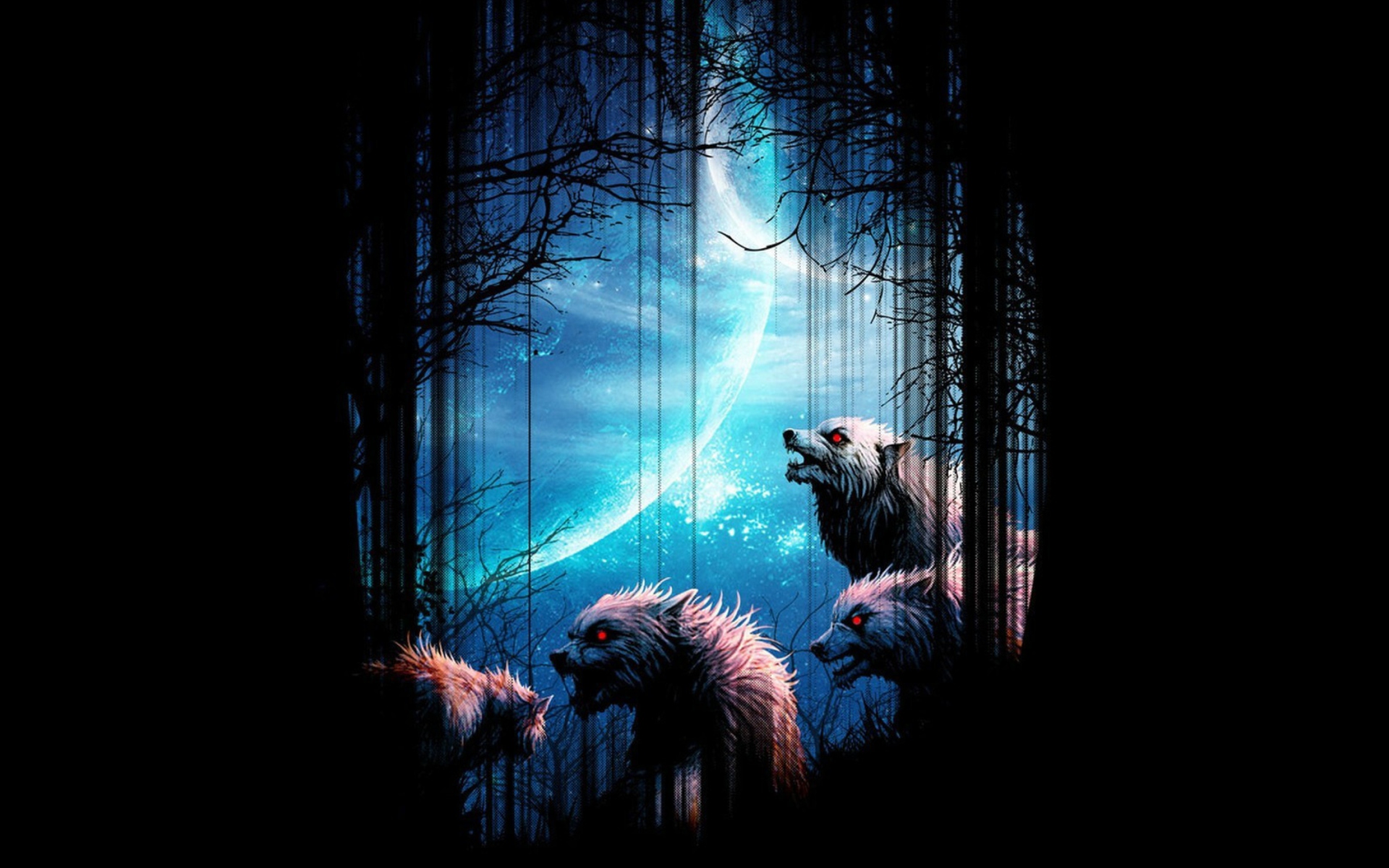 Das Wolverines At Night Wallpaper 1920x1200