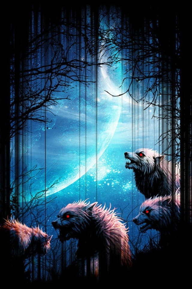 Fondo de pantalla Wolverines At Night 640x960