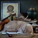 Fondo de pantalla Sleeping Cat 128x128