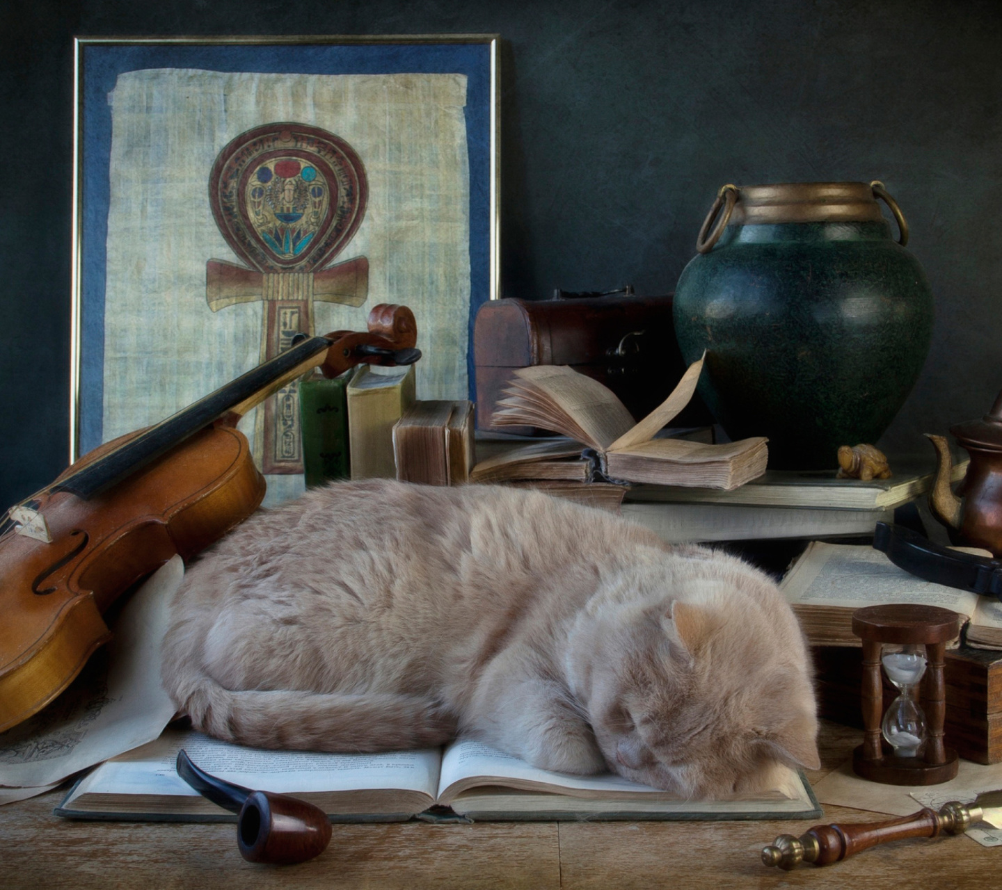 Das Sleeping Cat Wallpaper 1440x1280