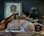 Das Sleeping Cat Wallpaper 176x144