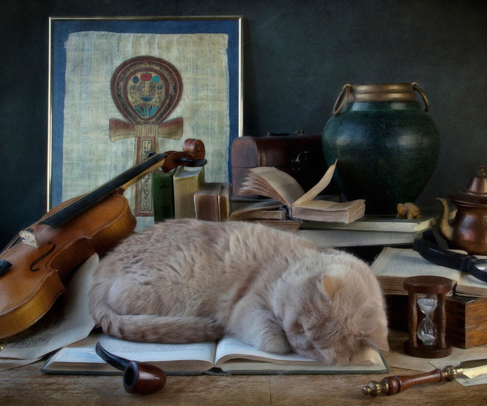 Fondo de pantalla Sleeping Cat 960x800