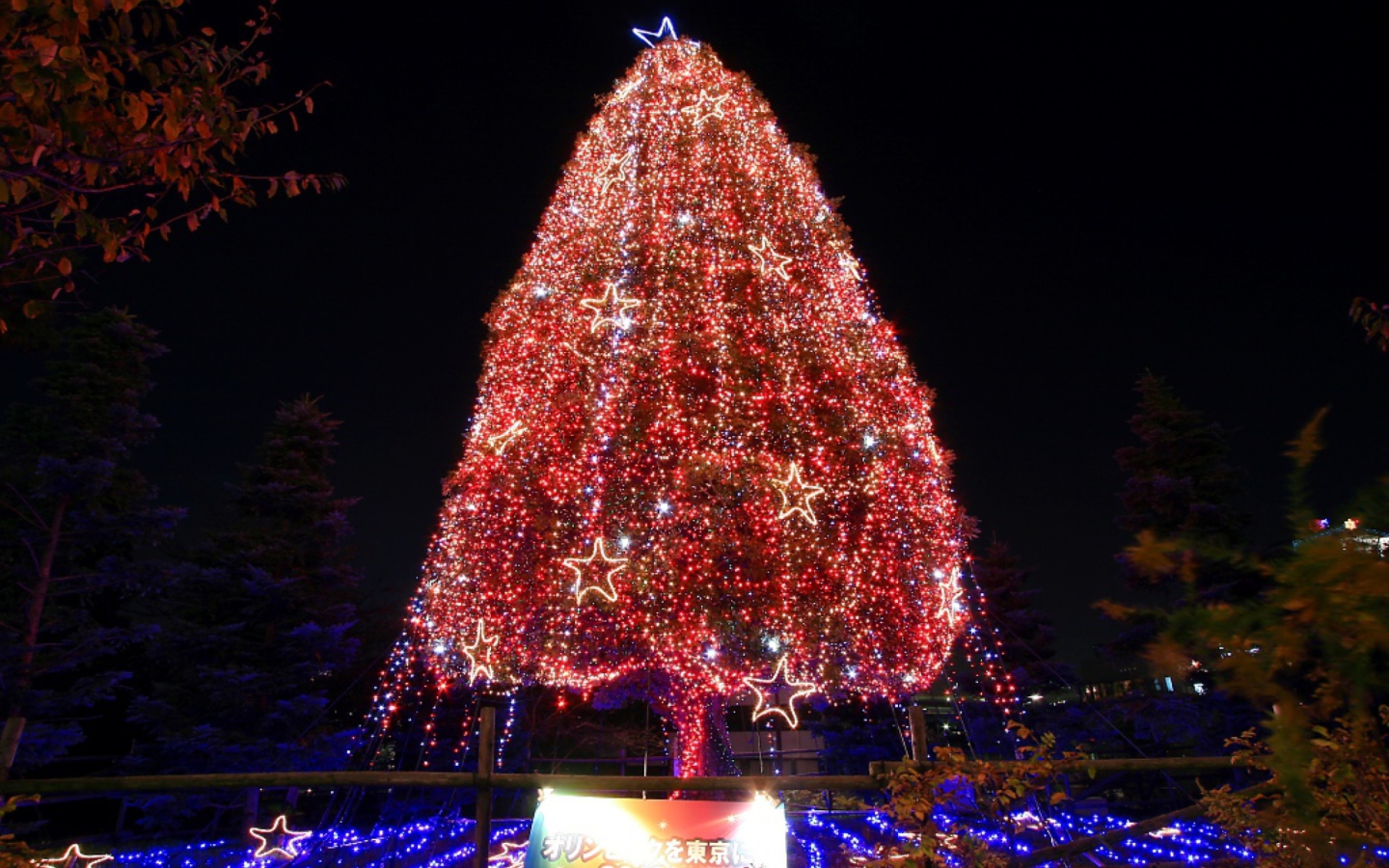 Обои Christmas Tree 1440x900