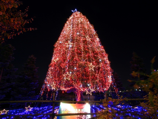 Sfondi Christmas Tree 640x480