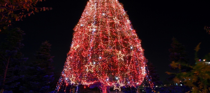 Обои Christmas Tree 720x320