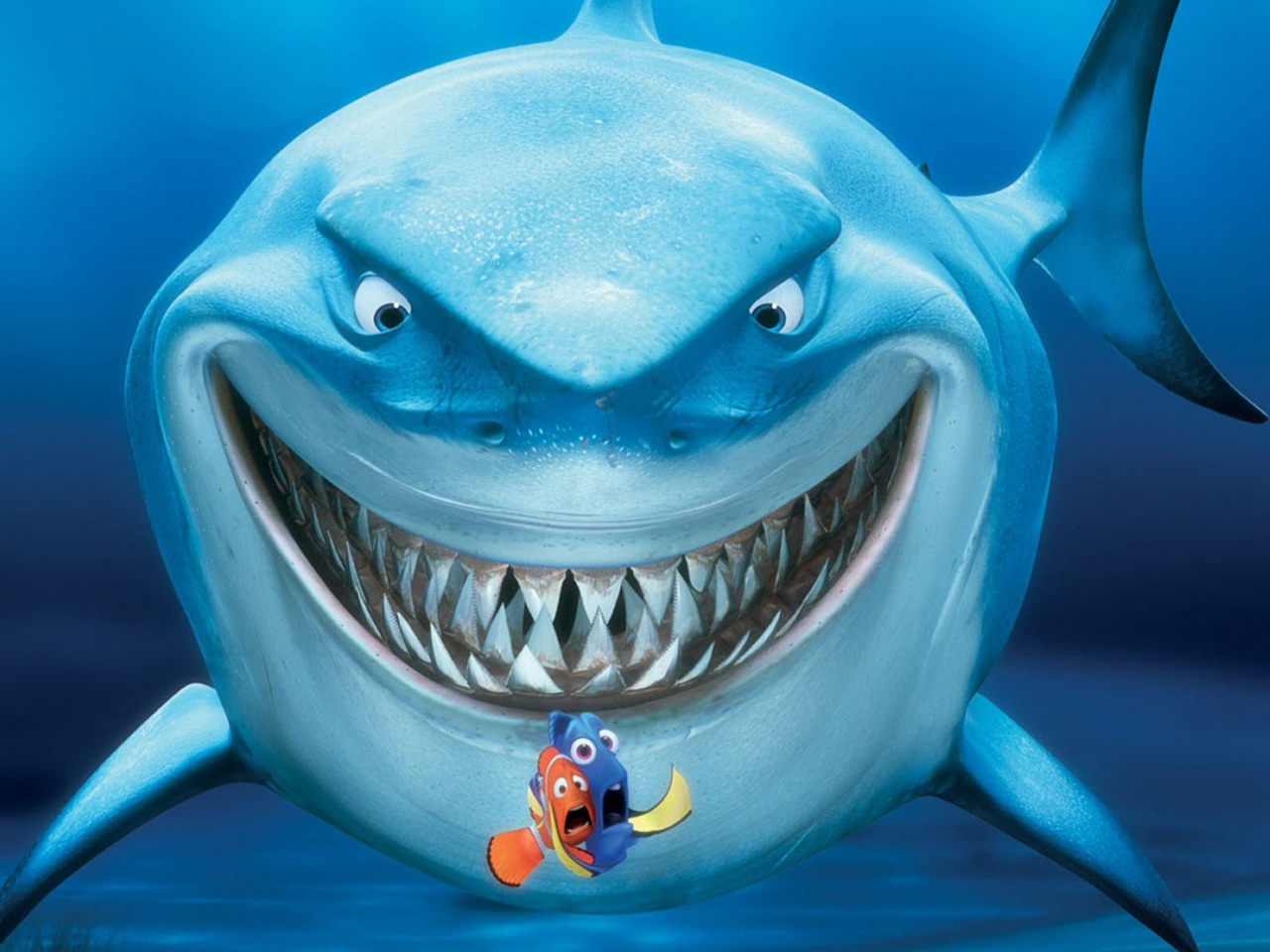 Fondo de pantalla Finding Nemo 1280x960