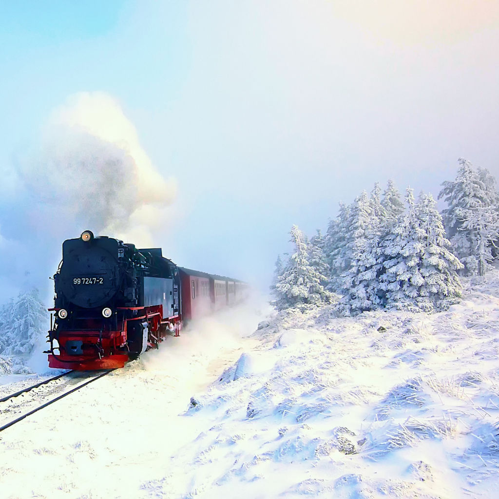 Sfondi Winter Train Ride 1024x1024