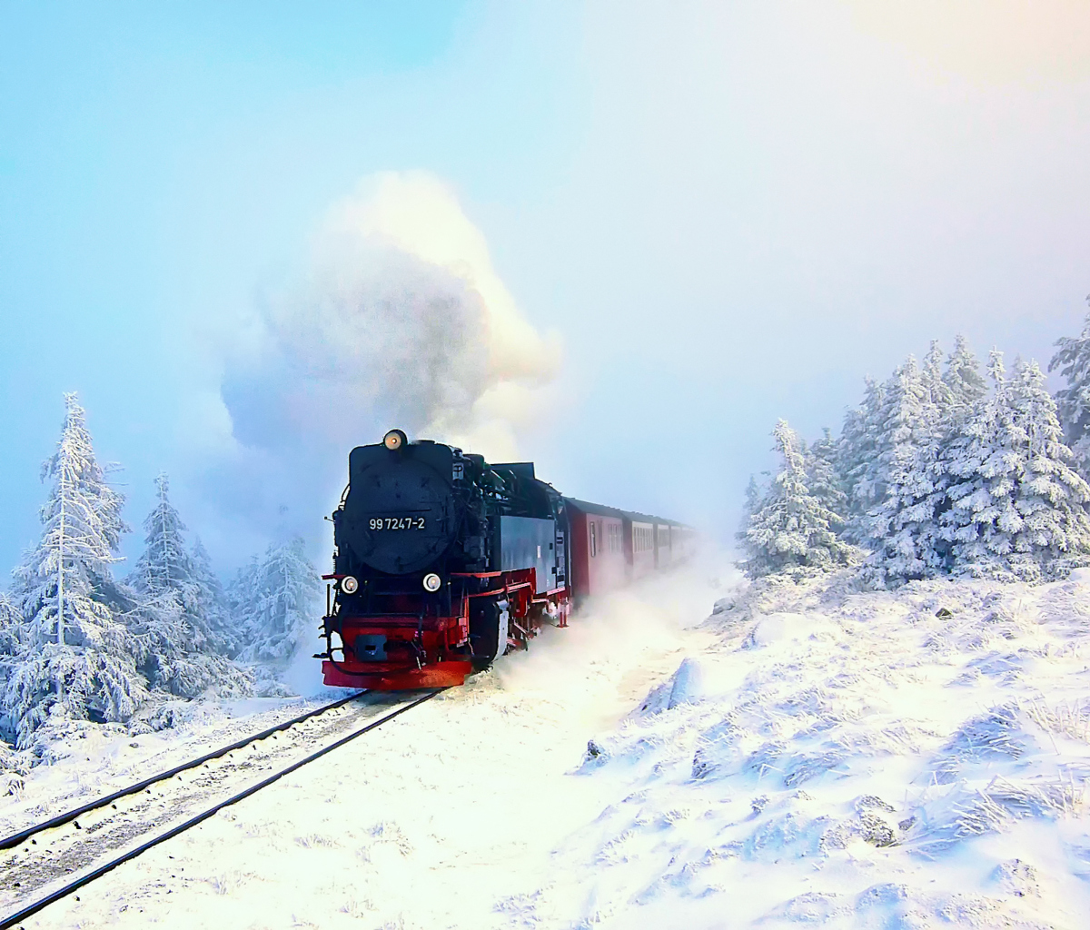 Fondo de pantalla Winter Train Ride 1200x1024