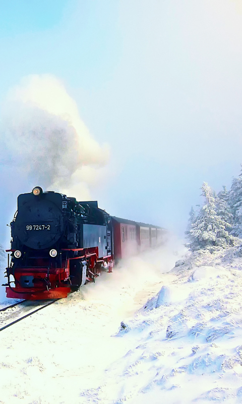 Screenshot №1 pro téma Winter Train Ride 480x800