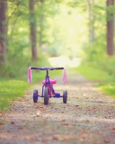 Child's Bicycle screenshot #1 128x160
