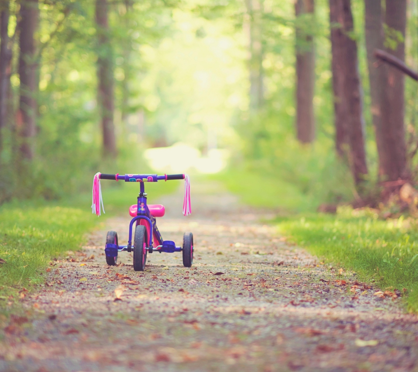 Child's Bicycle wallpaper 1440x1280