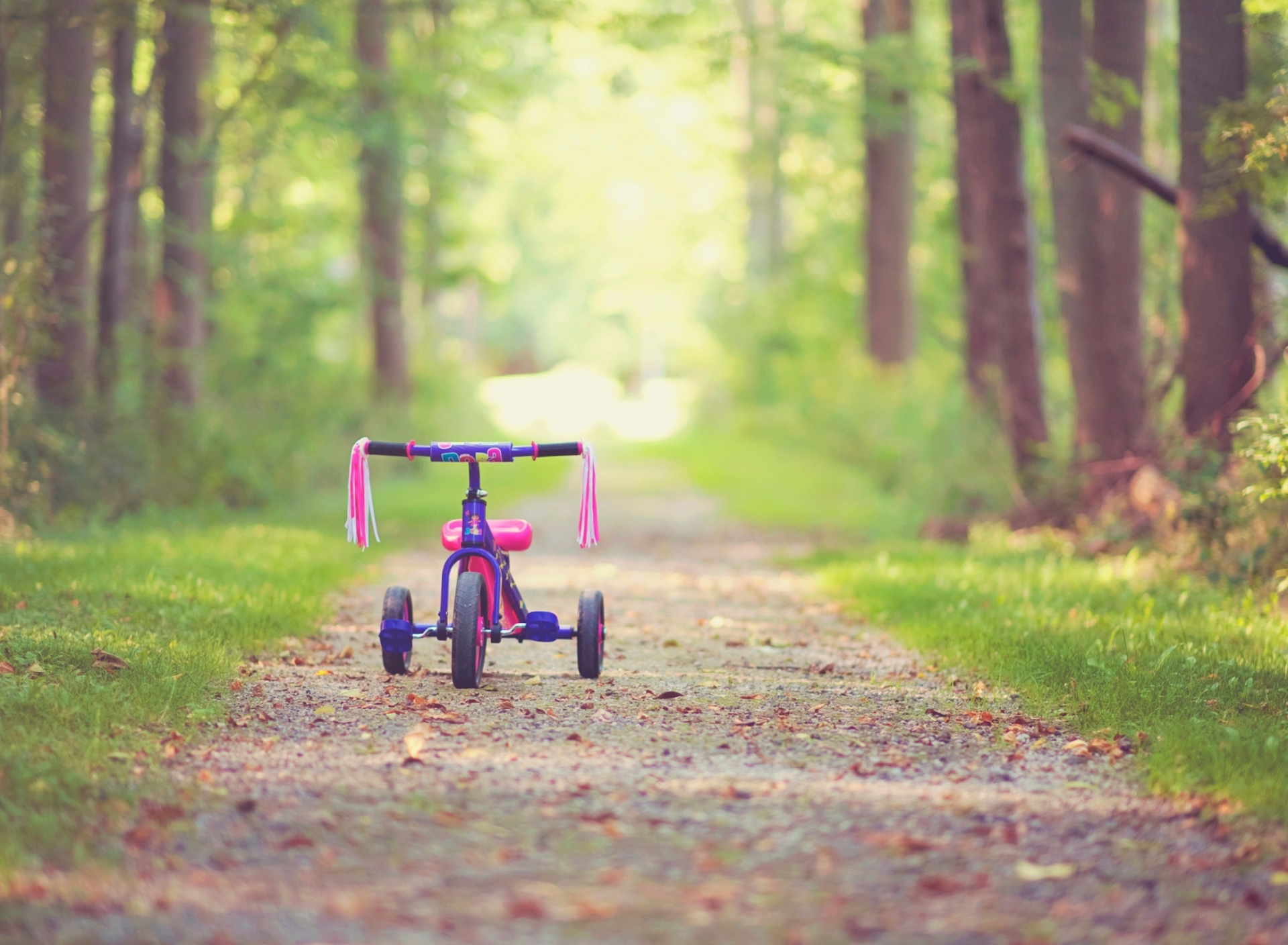 Child's Bicycle wallpaper 1920x1408