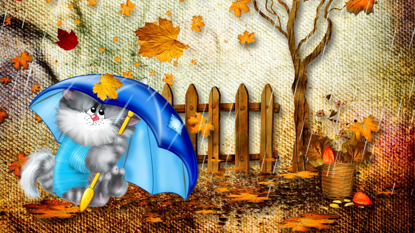 Autumn Cat wallpaper 1366x768