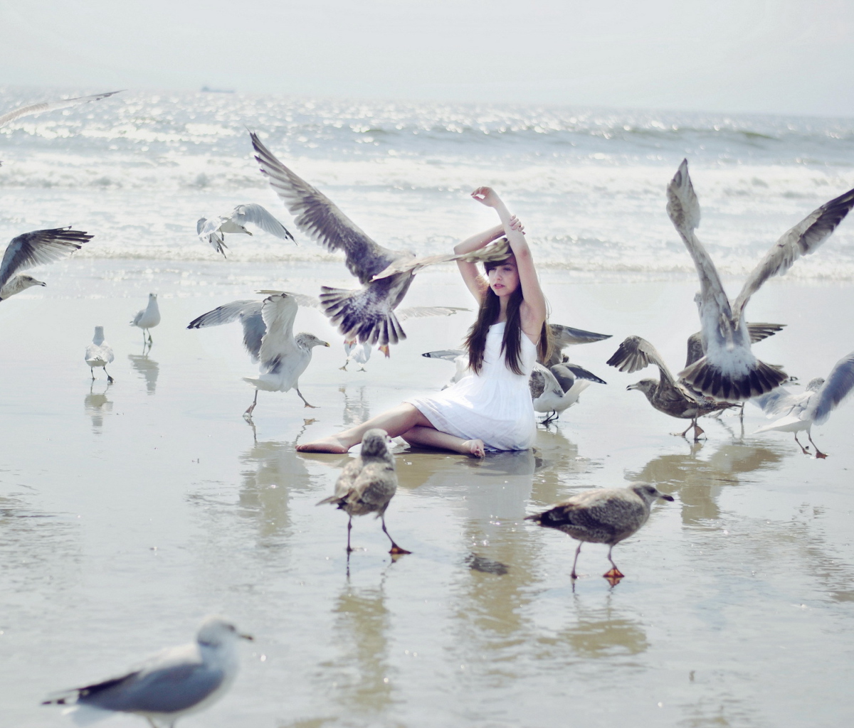 Girl And Birds At Sea Coast screenshot #1 1200x1024