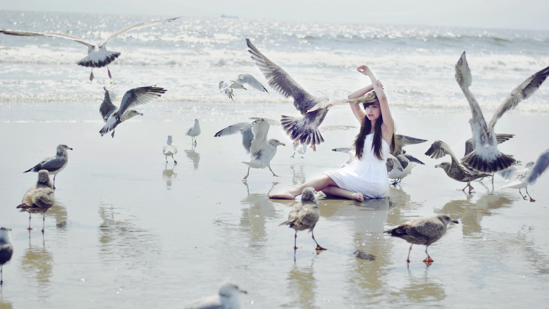 Sfondi Girl And Birds At Sea Coast 1920x1080