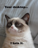 Screenshot №1 pro téma Grumpy Cat 128x160