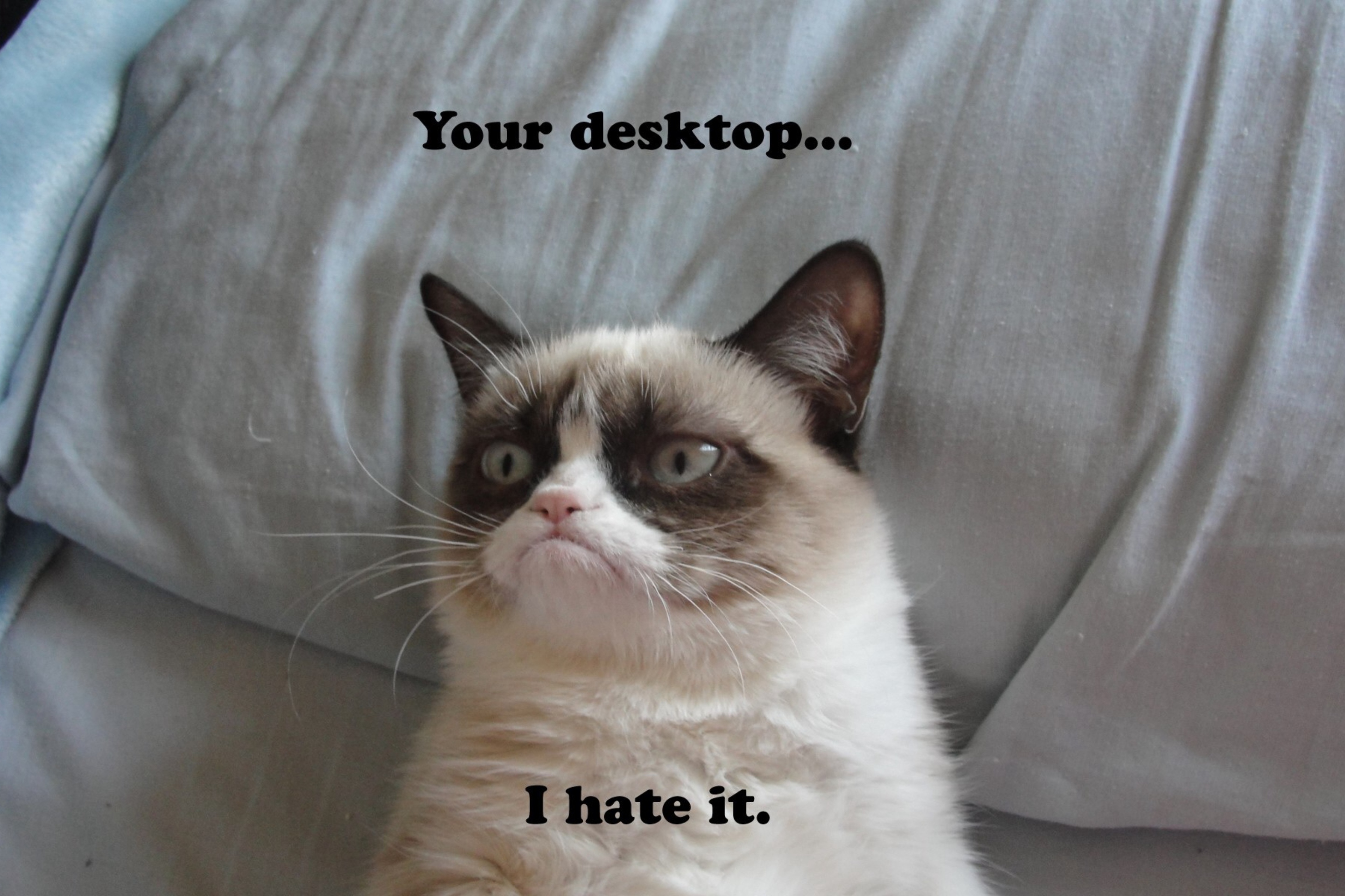 Fondo de pantalla Grumpy Cat 2880x1920