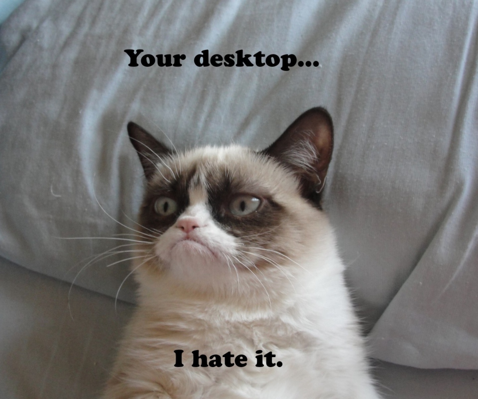 Grumpy Cat wallpaper 960x800