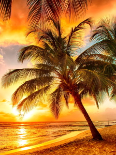Das Golden Sunset On Bali, Indonesia Wallpaper 240x320
