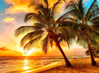 Golden Sunset On Bali, Indonesia - Obrázkek zdarma 