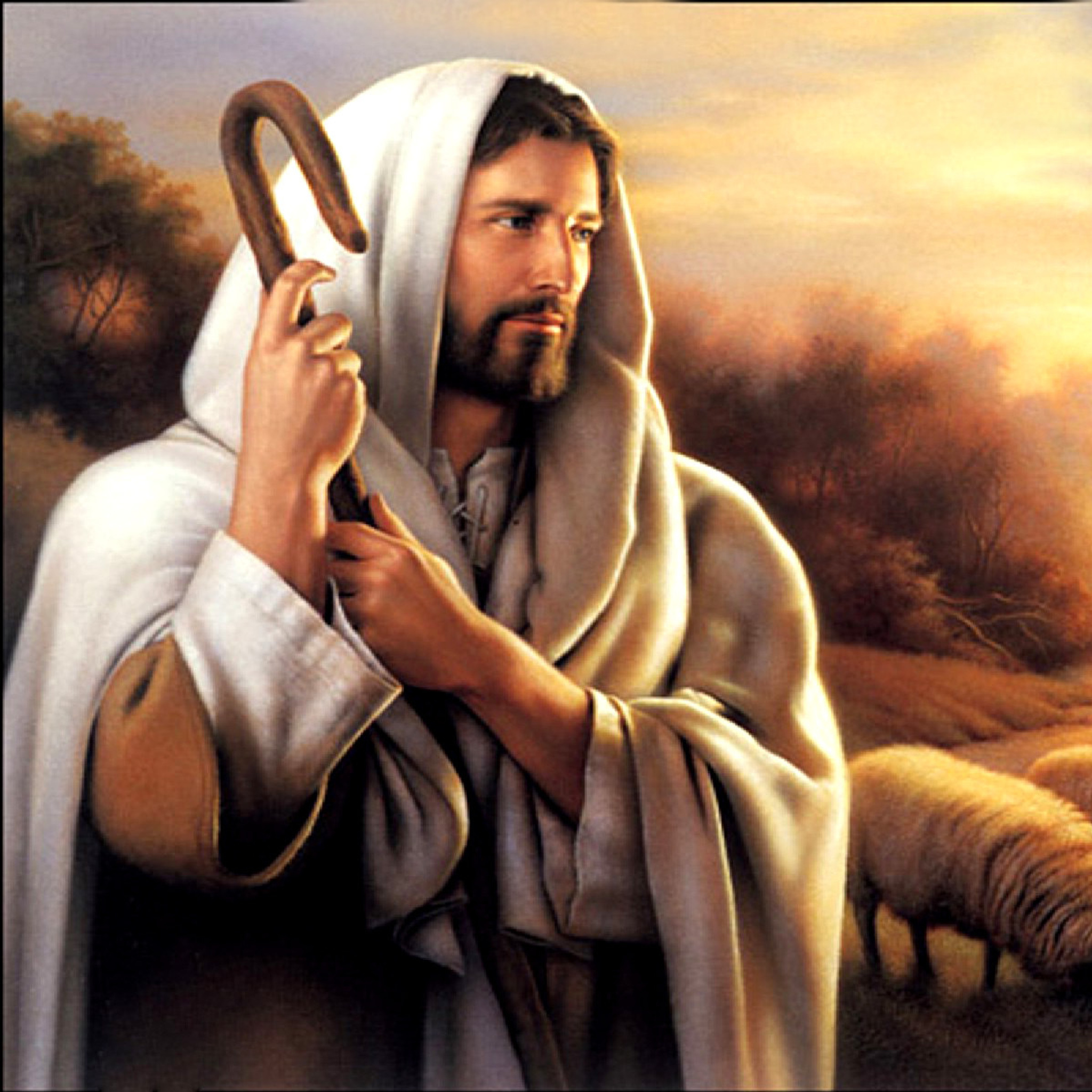 Jesus Good Shepherd wallpaper 2048x2048