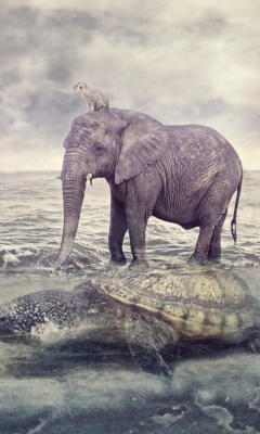 Elephant and Turtle wallpaper 240x400