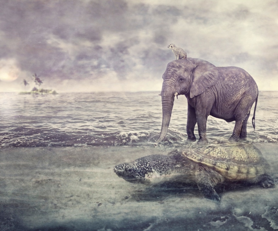 Elephant and Turtle wallpaper 960x800