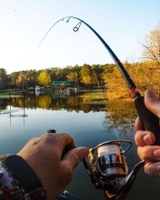 Fishing in autumn screenshot #1 176x220