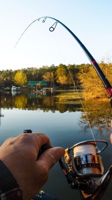 Fishing in autumn wallpaper 360x640