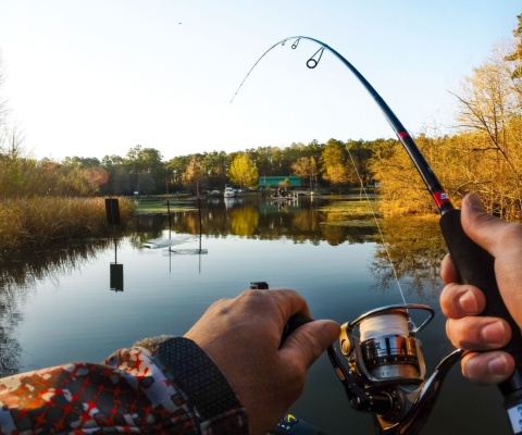 Fondo de pantalla Fishing in autumn 480x400