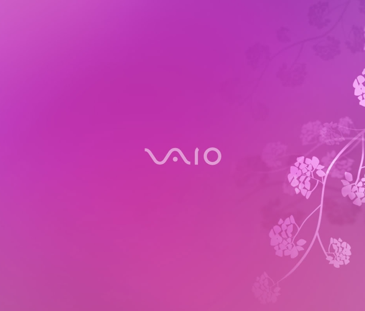 Sony VAIO Laptop screenshot #1 1200x1024