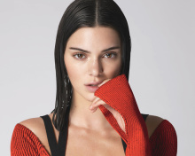 Screenshot №1 pro téma Kendall Jenner for Vogue 220x176
