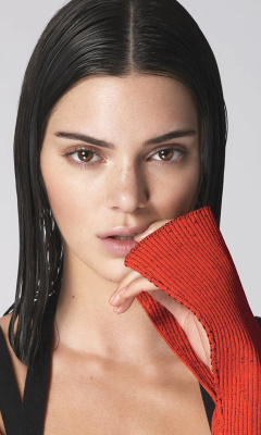 Screenshot №1 pro téma Kendall Jenner for Vogue 240x400
