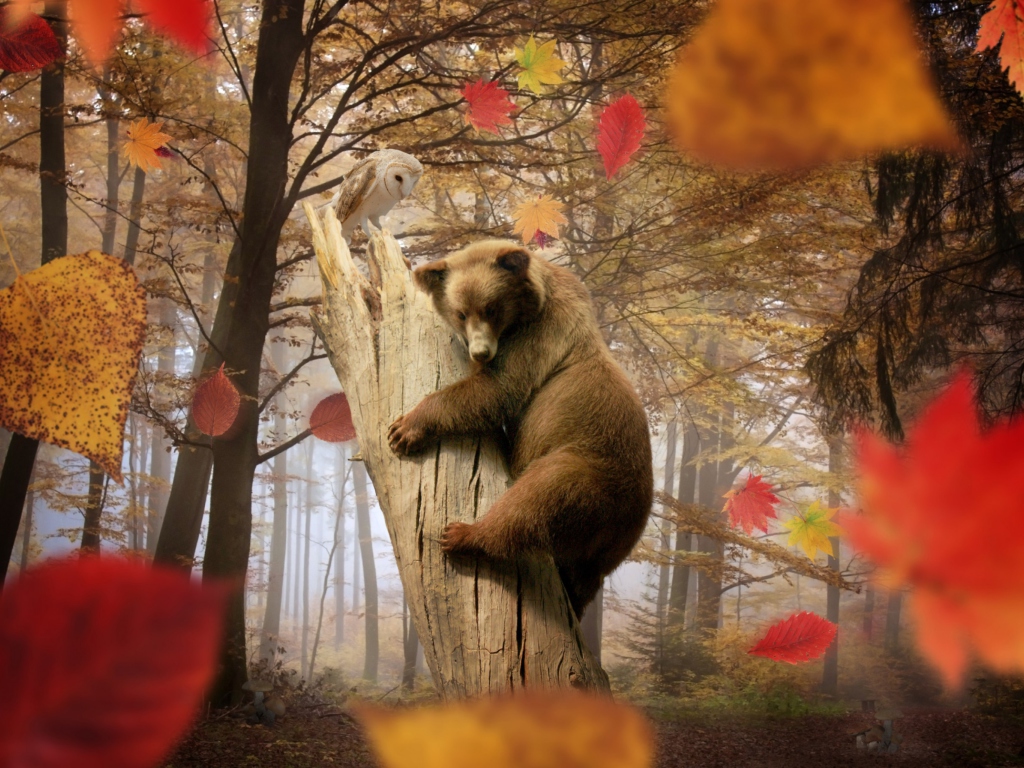 Das Bear In Autumn Forest Wallpaper 1024x768