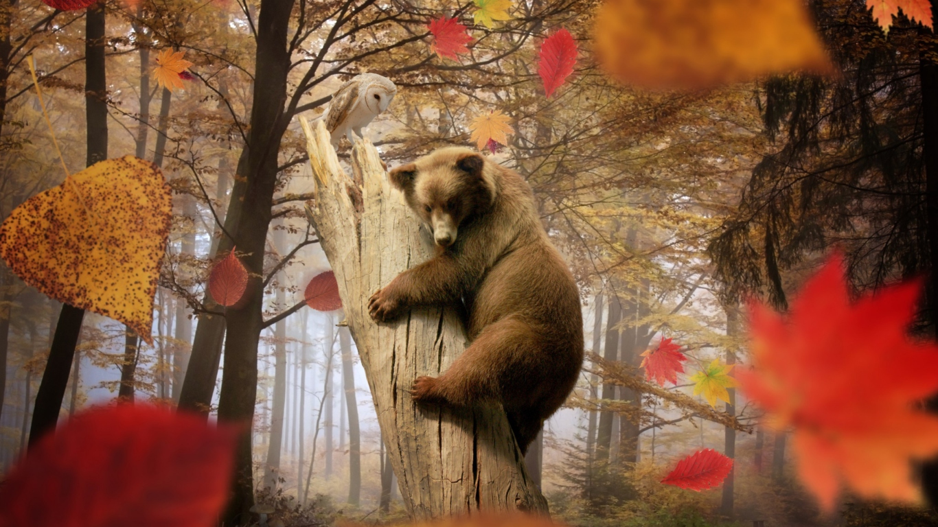Обои Bear In Autumn Forest 1366x768